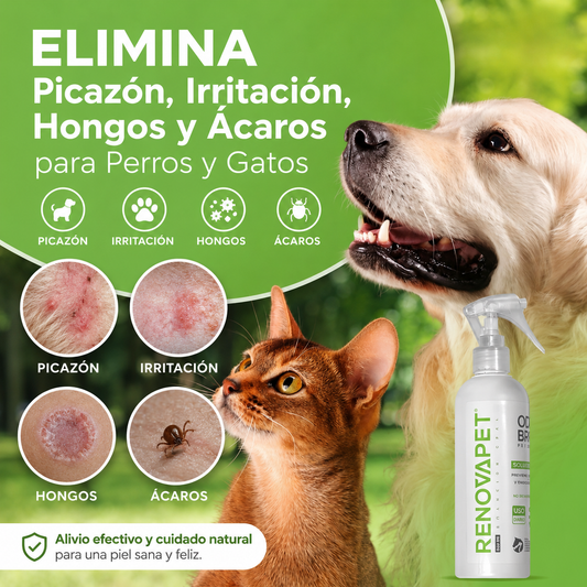 Renovapet 5 en 1 - Elimina Picazón, Irritación, Hongos y Ácaros para Perros y Gatos